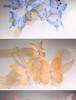 3D Painted Butterfly Wedding Backdrop with Scenery and Props for Photography and Décor