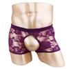 Men Sheer Lace Boxer Shorts Open Front Back See Through Pants Underwear