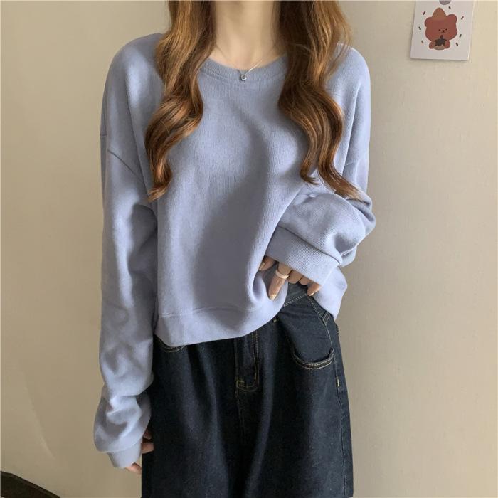 Korean Version of Small Man Long-sleeved Short T-shirt Women's Spring and Autumn New Design Sense Niche Top Versatile Sweater