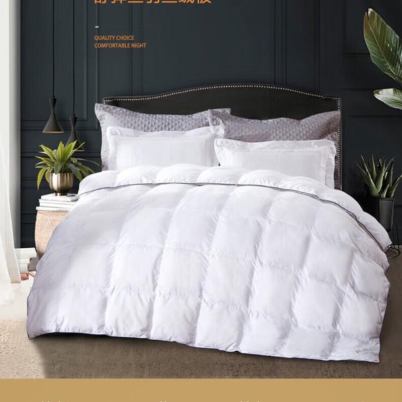 

Fuanna Winter Down Alternative Quilt