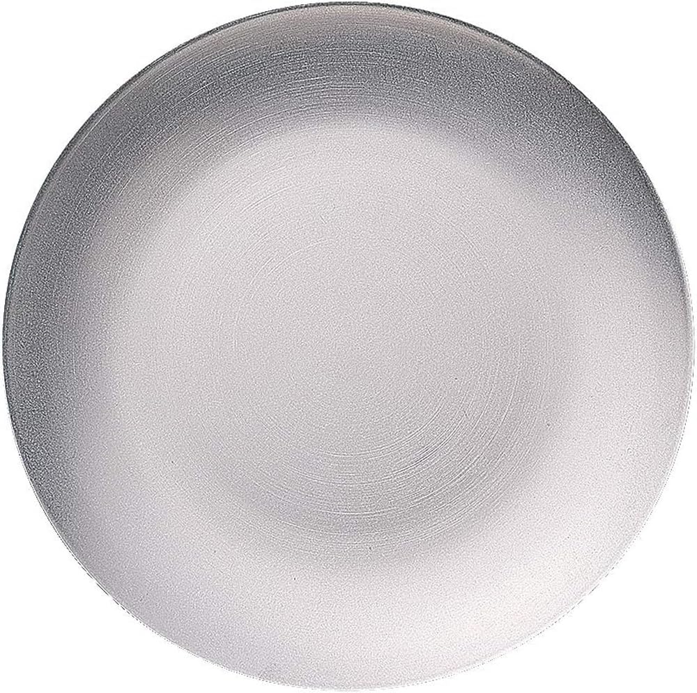 Vintage Inox Round Coupe Plate, 250mm, Made In Japan, Authentic VINTAGEINOX, Ideal for Cafes and Restaurants, Stainless Steel with Aged Finish,