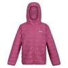 Regatta Childrens/Kids Hillpack Hooded Jacket