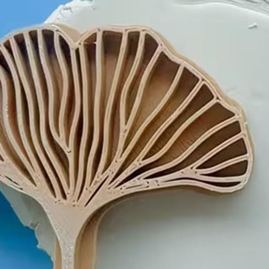 Ginkgo Biloba Blatt Tonstempel 3D-gedrucktes Blattmuster Tonprägeform für DIY-Bastelarbeiten Polymer Clay Herstellung