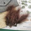 50Pcsdiy Color Feather Full Fleece Turkey Feather Clothing Antique Headdress Pet Toy Handicraft Decoration