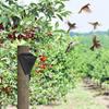 Bird Repeller Animals Scarer 13 Sounds Solar Powered Preventer for Balcony Deer Farm Squirrel