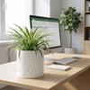 3D Printing Succulent Plant Container Cylinder Shape Decorative Planter Flower Pot  Desktop Decor