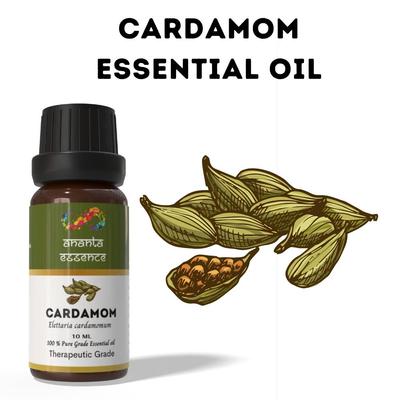 Ananta Cardamom Essential Oil 10 Ml | Spicy-Sweet Aromatic Oil | Diffuser & Home Fragrance Use
