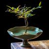 Wabi-sabi Ikebana Ceramic Vase Artistic Flower Vessels Lotus Leaf Edge Flower Pots Table Decoration Flowers Arrangement Vases