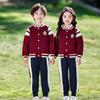 Children's Autumn & Winter Windbreaker Set: School & Kindergarten Uniform, 3-Piece Sportswear.