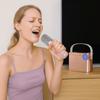 With Dual Microphone Karaoke Speaker Bluetooth 5.3 Wireless Microphone Speaker  Family Party