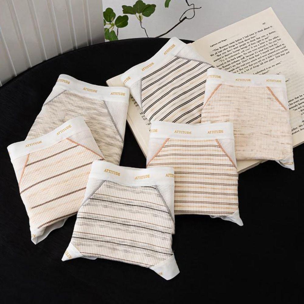 3Pcs Ultra-thin Stripe Letter Briefs Mid Waist Underwear for Women Mesh Seamless Panties  Girl