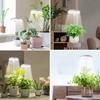 Circular Plant Lamp Suitable for Indoor Plant growth-LED Full-spectrum Plant Lamp with 4/8/12/18H Timing Function