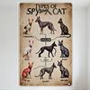 Vintage 'Types of Spytonx Cat' Educational Metal Sign - 9 Cats Color Categorized Grid Illustration Aged Retro Wall Decor for Hom