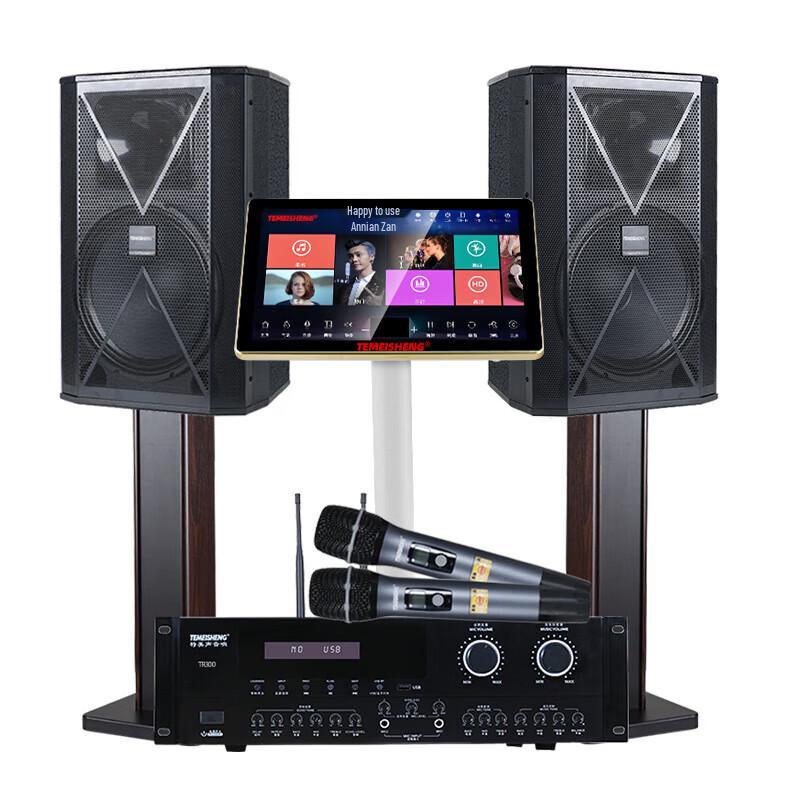 TEMEISHENG TK-910 Professional Portable Karaoke Speaker System (CN version)