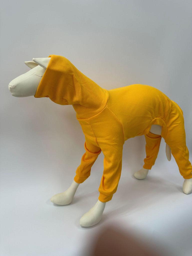 European & American Solid Color High-Neck Slim Fit Ribbed Dog Clothes for Autumn & Winter.