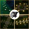 4Pcs Solar Dog Paw Print LED Lawn Light Outdoor Waterproof Garden Decorative Stake Light