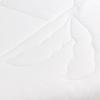 Luolai Soybean Anti-mite Antibacterial Seven-Hole All-Season Quilt