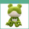 Adorable Soft Plush Frog Stuffed Animal Toy Ideal For Kids Bedtime Cuddly Pillow