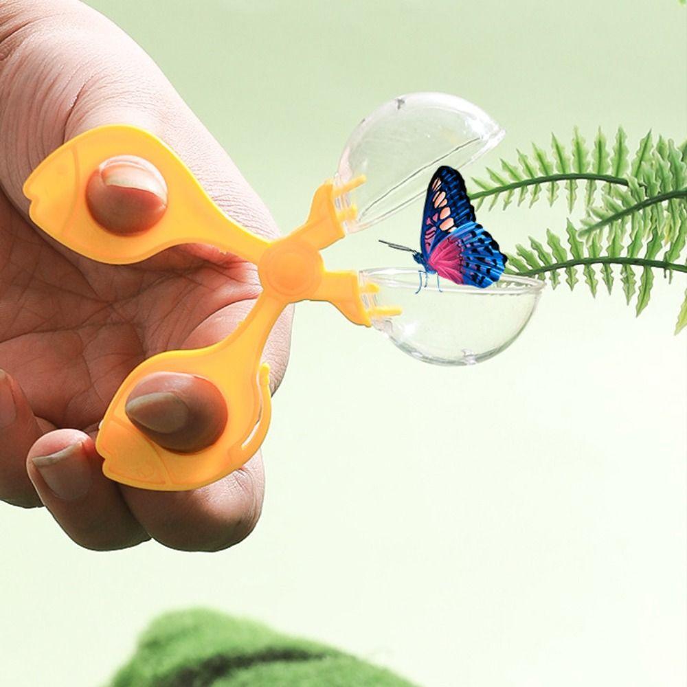 Insect Clip Exploration Insect Observation Cage Capture Observation Box Toy  Explore Nature