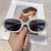 Retro Oval Sunglasses Women's Fashion Sunscreen Eyewear Street Snap Popular Korean Style Mirror Frame Beach Vacation Wear