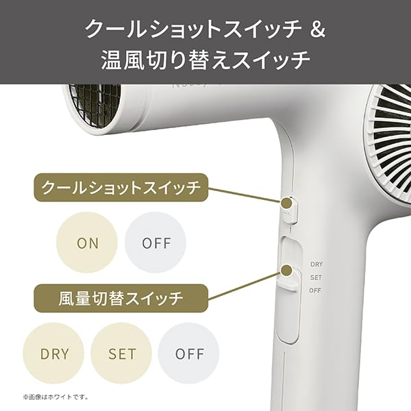 TESCOM Professional Protect Ion Lightweight Hair Dryer NIB400A with Easy-Disconnect Plug Nobby by TESCOM Nobby Smoky Gray NIB400A-H