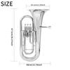 Instrumente de suflat – Țeavă