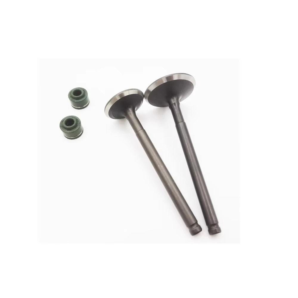 YX 140 150 160 Intake Exhaust Valves with Seal Kit For YX YinXiang 150cc 160cc Engine BSE KAYO SSR Dirt Pit Bike