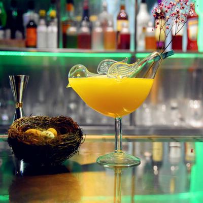 300ml yeni stil kuş kokteyl cam gece kulübü içkili züccaciye Specia karıştırma şarap kadehi moleküler soğuk içme meyve şerbeti fincan