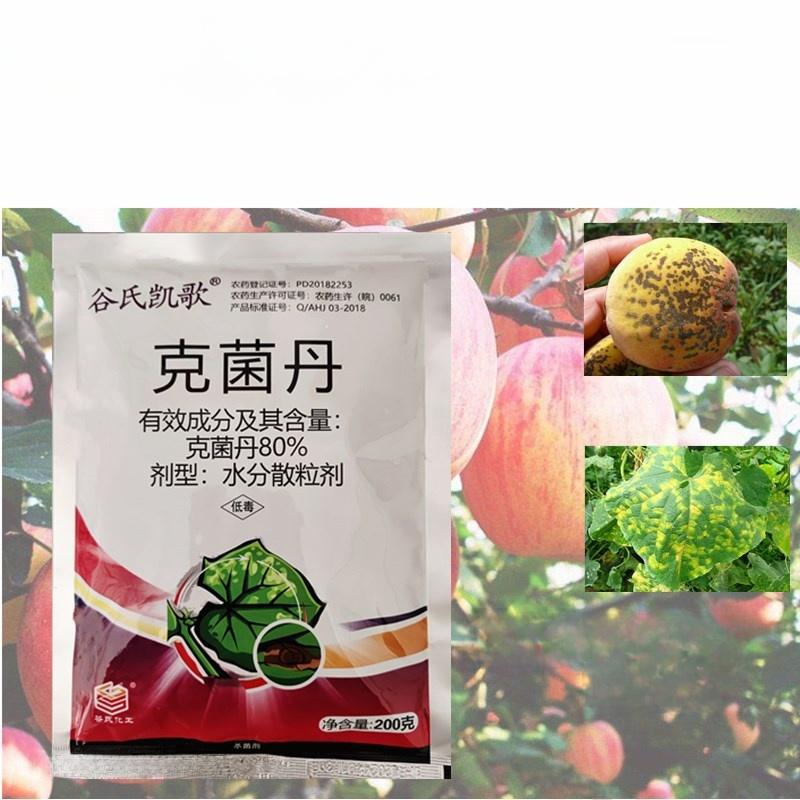 

Сельскохозяйственный фунгицидный порошок для борьбы с серой гнилью и пятнистостью листьев клубники, средство для защиты растений с 80 активными ингредиентами 200 grams