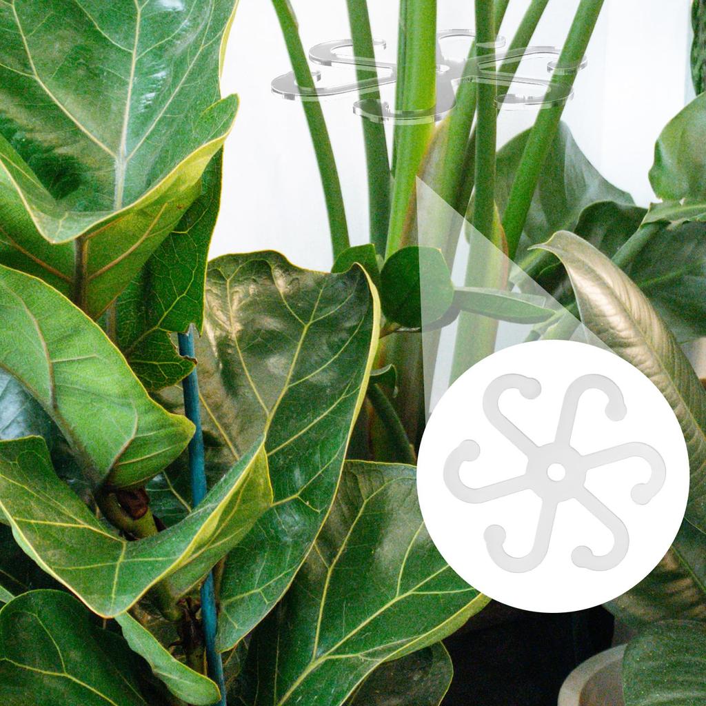 6pcs Plant Stem Support Stem Holder with Holes Acrylic Plant Trellis Stakes Plant Stabilizer Leaf Holder and Climbing Rack