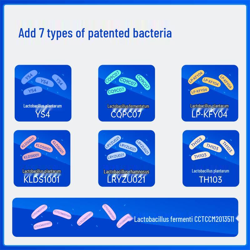 Osteoform Probiotic Lactic Acid Bacteria (40 Billion CFU)