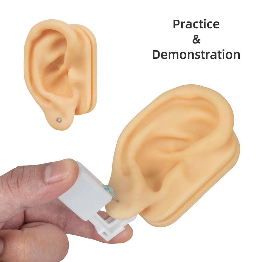 5D Silicone Ear Model for Ear Picking, Teaching, Jewelry Display, and Hearing Aid Demonstration