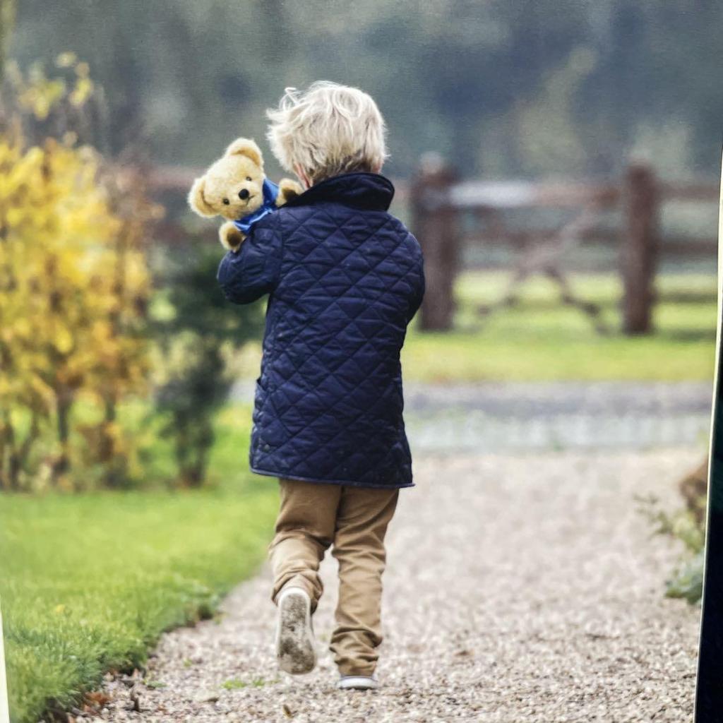 [USED] Merrythought Teddy Bear