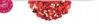 Fruity Safari Freeze-dried Mix Apple Raspberry Strawberry Cherry 80 Bucket
