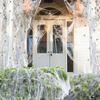 Halloween Spider Web Decoration Stretchy Spider Web with Small Fake Spiders Large Cobwebs for Indoor And Outdoor Parties Haunted Houses Decor