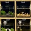 2pcs 6.6ft Cable USB Mini Spotlights 5V Small Spot Lights LED Spotlights  Display Cabinets