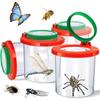 Insecten – Insecten terrariums