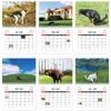Calendar 2026 Dogs Pooping In Beautiful Places Funny Gag Gifts Thick Paper Wall Calendar Christmas Home Decor Planning Organizer