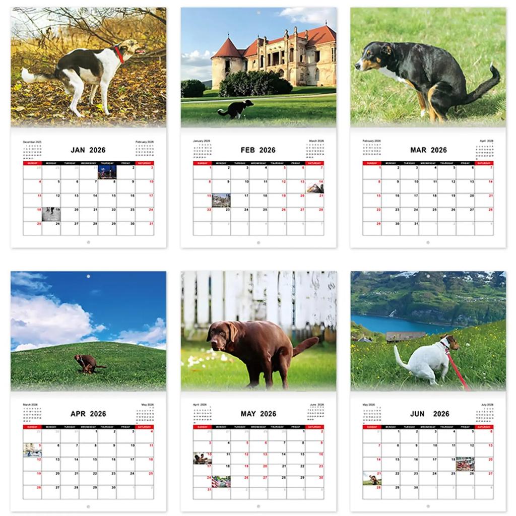Calendar 2026 Dogs Pooping In Beautiful Places Funny Gag Gifts Thick Paper Wall Calendar Christmas Home Decor Planning Organizer