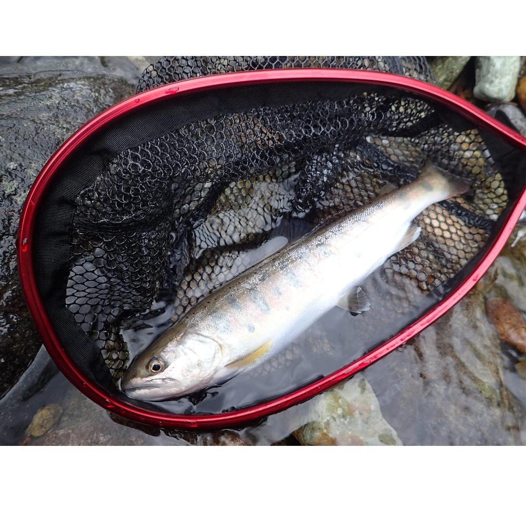 Turing Monkey Tsurimon Light Net III MG Carabiner S Gunmetal