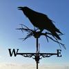 29-Inch Weathervane for Outdoor Use