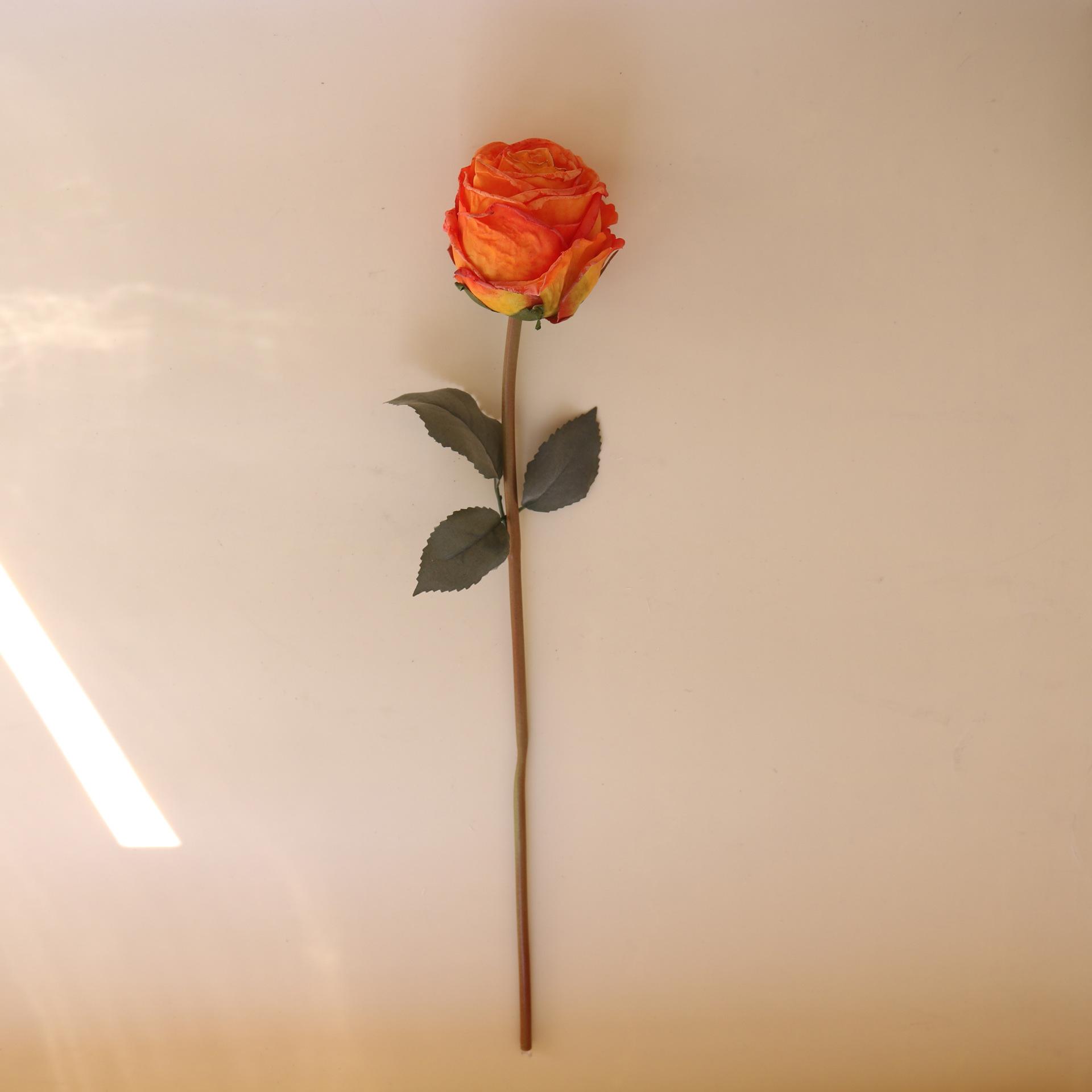 5pcs Simulation rose romantic burnt edge curling simulation flower living room dining table Christmas home decoration оранжевый