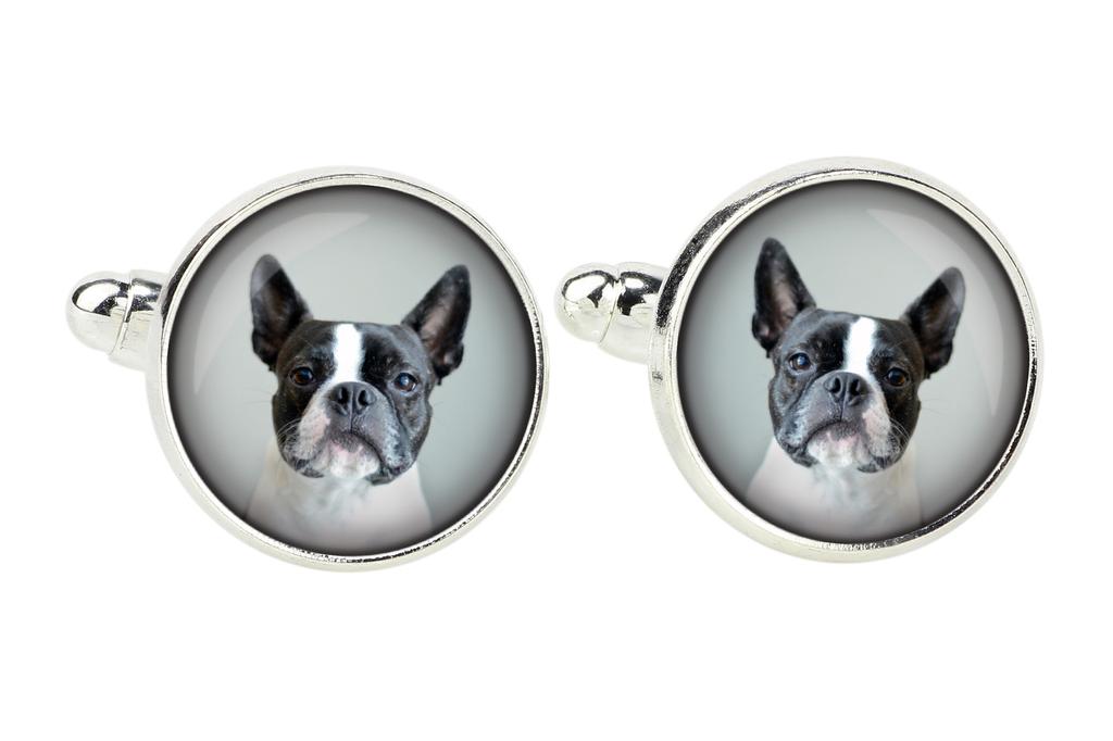 Boston Terrier, American Gentleman - cufflinks and tie with your photo, a suit decoration, men's jewelry from the Art-Dog brand.
