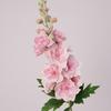 Lifelike Delphinium Stem Moisturizing Simulation Flower Artificial Delphinium Flower  Family Party
