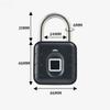 Serratura Tuya Smart con Impronta Digitale Biometrica Serratura Elettronica per Porta Tuya Sblocco Rapido Senza Chiave Tastierino a Codice Numerico Lucchetto Impermeabile IP67