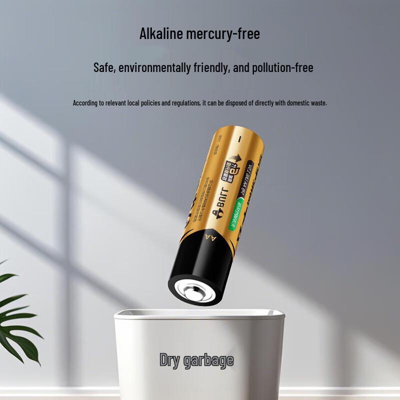 BULL AA Alkaline Batteries CN plug (adapter included)
