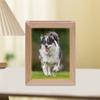 Light-up Photo Frame LED Glowing Picture Stand Lighted Wooden Picture Frame Desk