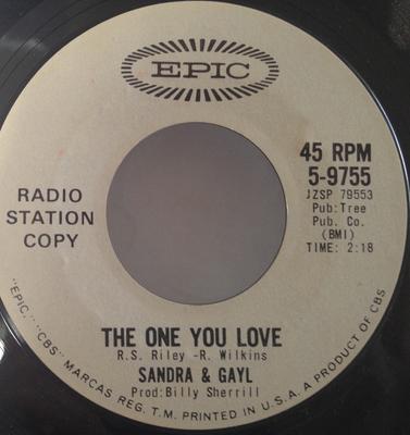 7inch Record SANDRA & GAYL - The One You Love 59755PROMO Epic US Pop Used