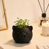 3D Printed Cute Pig Planter Cartoon Animal Shaped Cactus Flower Pot with Drainage Hole for Home Office Desk Decor