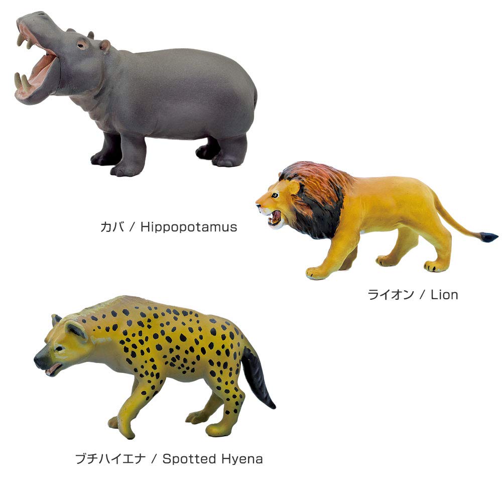 Calorata Animal Geography Zone 1 3D Encyclopedia Ethiopian Animals with Realistic Figures Birthday Gift Sanitation Law Animal Toy Figure Gift (12 /